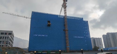 萬州新校區建設工程取得階段性成果，五棟教學樓順利封頂